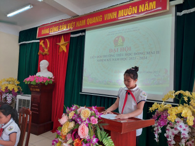 ĐẠI HỘI LIÊN ĐỘI