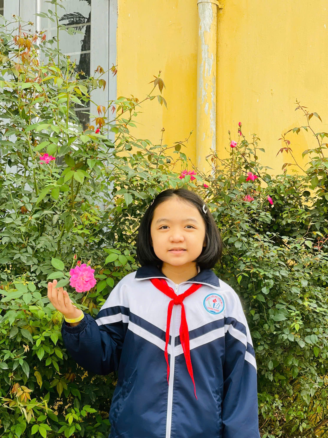 z6528900983718 b628cb60eec24eabfc1ddd57f7195e18