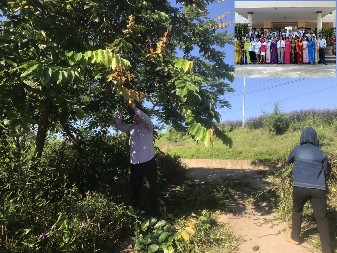 52d1a7866814aa4af305