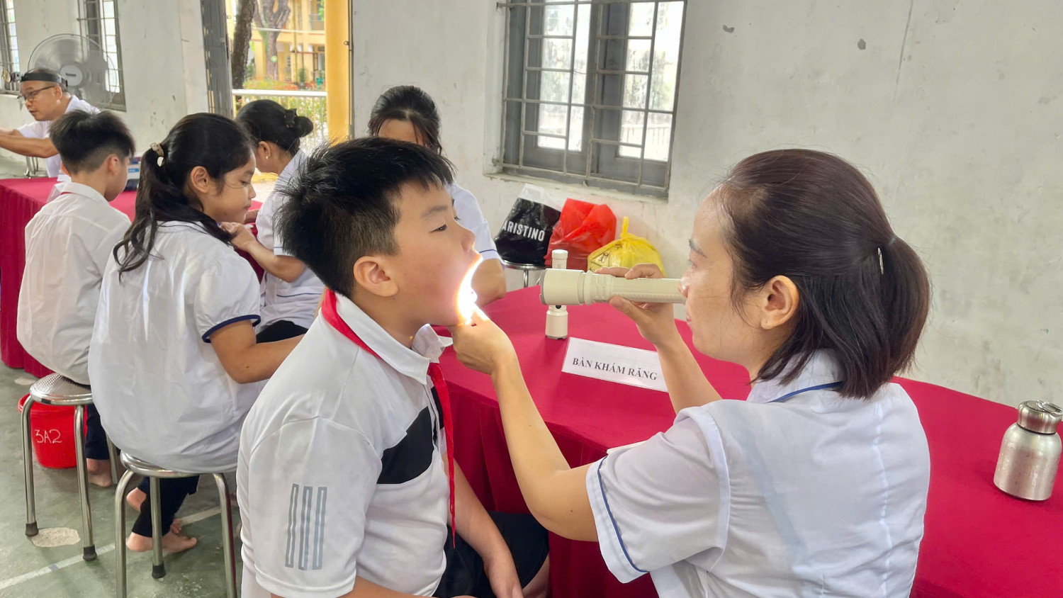 76292d17 ee7c 480c bd6f 242545c91cbd